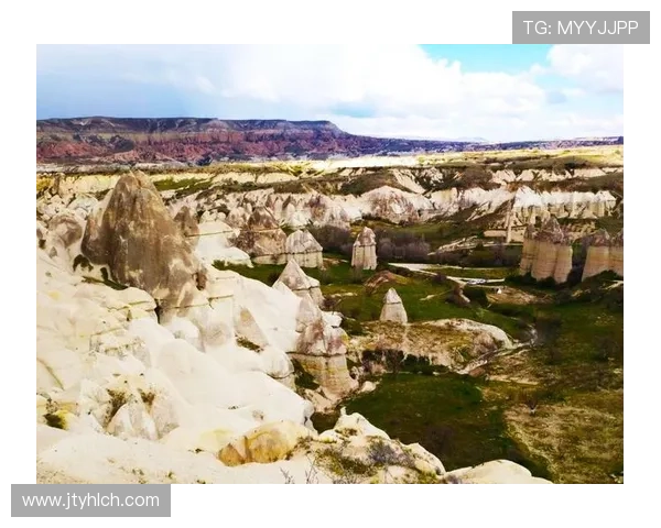 土耳其足球明星的辉煌历程与成就全解析